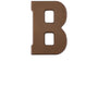 Chocoladeletter - Melk
